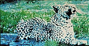 "Leopard in the Spring"