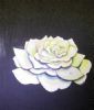 "A Rose by Any Other Name"