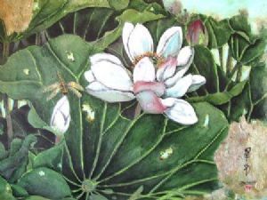 "Lily and Dragonfly 2"