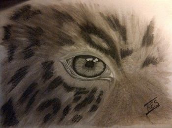 "Eye on Africa"