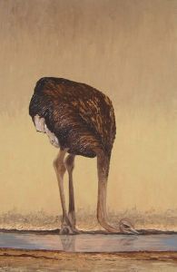 "Ostrich at Waterhole"