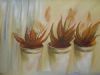 "Aloes"