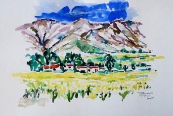 "Canola near Porterville"