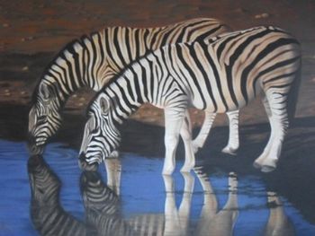 "Zebras by watergat"