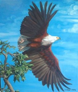 "Fish Eagle Takes Flight"