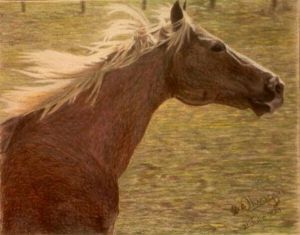 "Brown Horse"