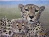 "Cheetah and Cub"