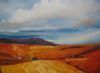 "Wheat Fields, Overberg"