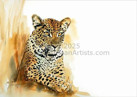 Level Gaze, original watercolour painting - Sue Dickinson Artist