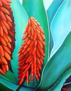 "Ferox Aloes"