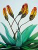 "Aloes - Ice Blue Sky"