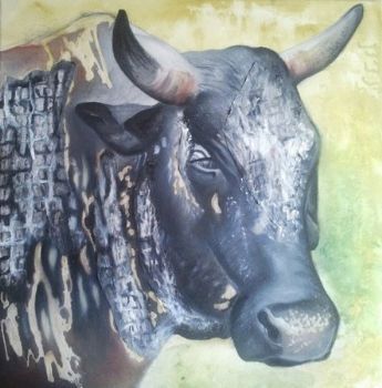 "Nguni"