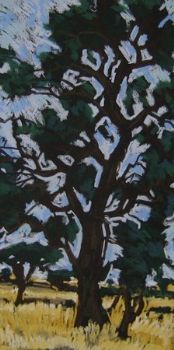 "Trees near Jarrabad"