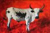 "Young Nguni Bull"