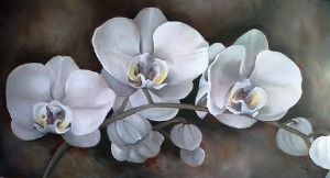 "Orchids"