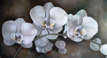 "Orchids"
