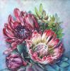 "Proteas (II)"