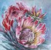 "Proteas (V)"