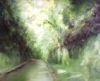 "Jungle Road"