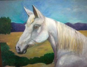 "Arabian Horse Profile"