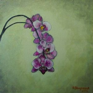 "Orchid_Purple"