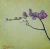 "Orchid Fuchsia 1"