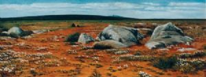 "West Coast Nature Reserve (Postberg)"