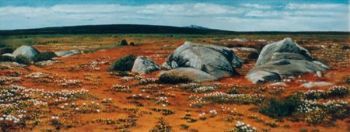 "West Coast Nature Reserve (Postberg)"
