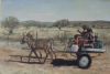 "Donkey Cart II"