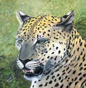 "Leopard Face"