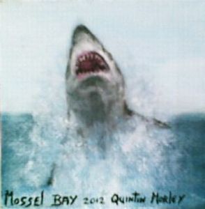 "Shark - Mossel Bay"