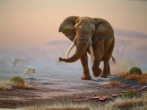 "Elephant 03"