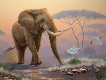 "Elephant 04"