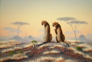 "Cheetah 01"