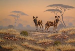 "Wild Dog 01"