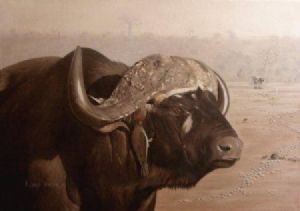 "Buffalo and Oxpecker"
