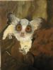 "Bushbaby"