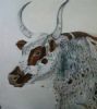 "Nguni on White"