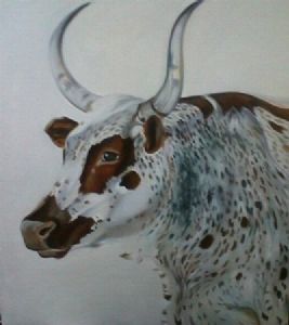 "Nguni on White"