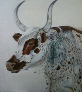 "Nguni on White"