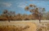 "Winter Bushveld"