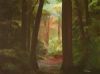 "Magic Forest"