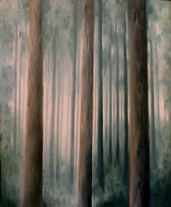 "Misty Forest"