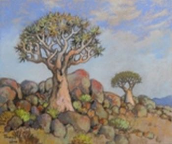 "Kokerbome"