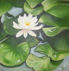 "Waterlily"