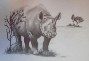 "Rhino"