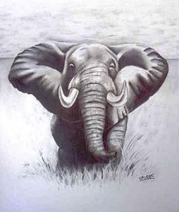 "Elephant"
