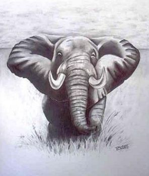 "Elephant"