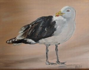 "Seagull 3"