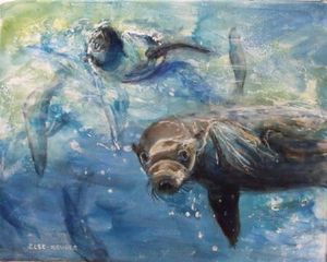 "Swim with Seals"